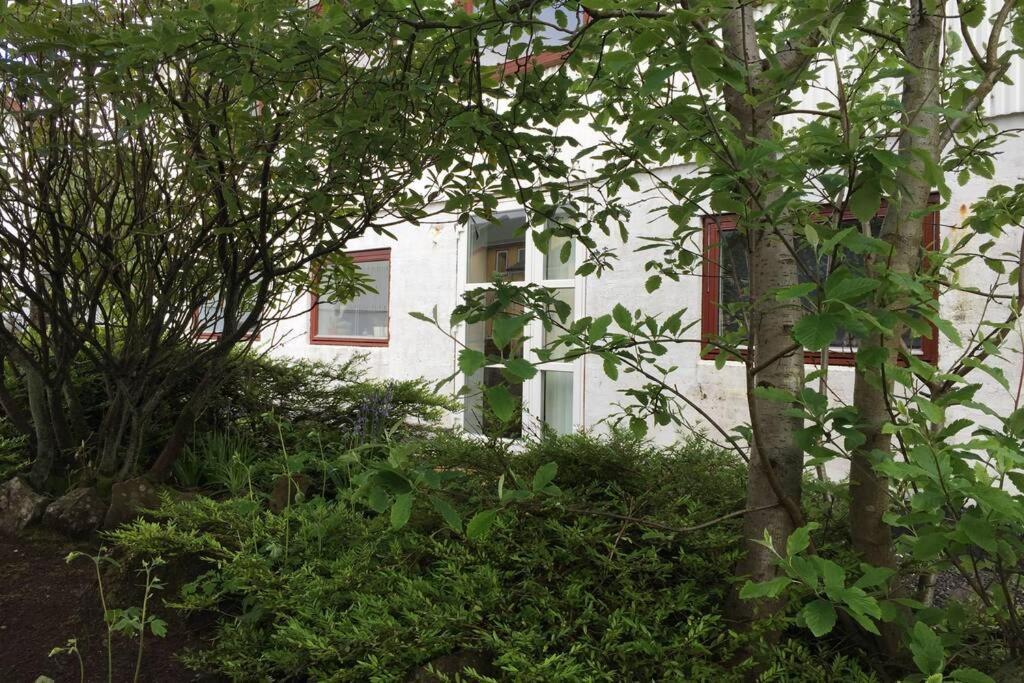 The Perfect Base In Torshavn Apartment Luaran gambar